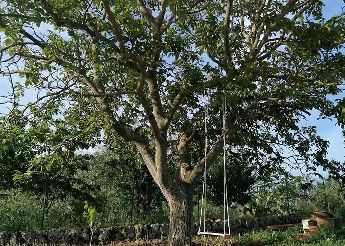 Villa Antichi Saperi - Con Piscina Cisternino